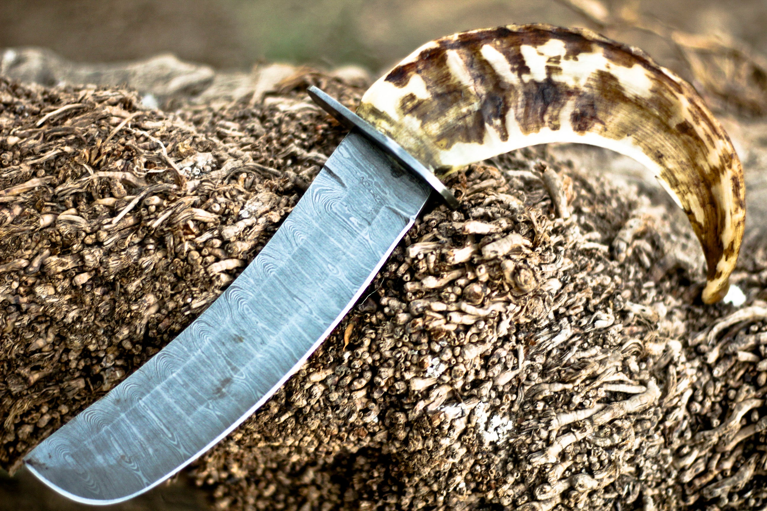 <h3>Hand Forged Damascus Steel Hunting Knife - Ram Horn Handle</h3>