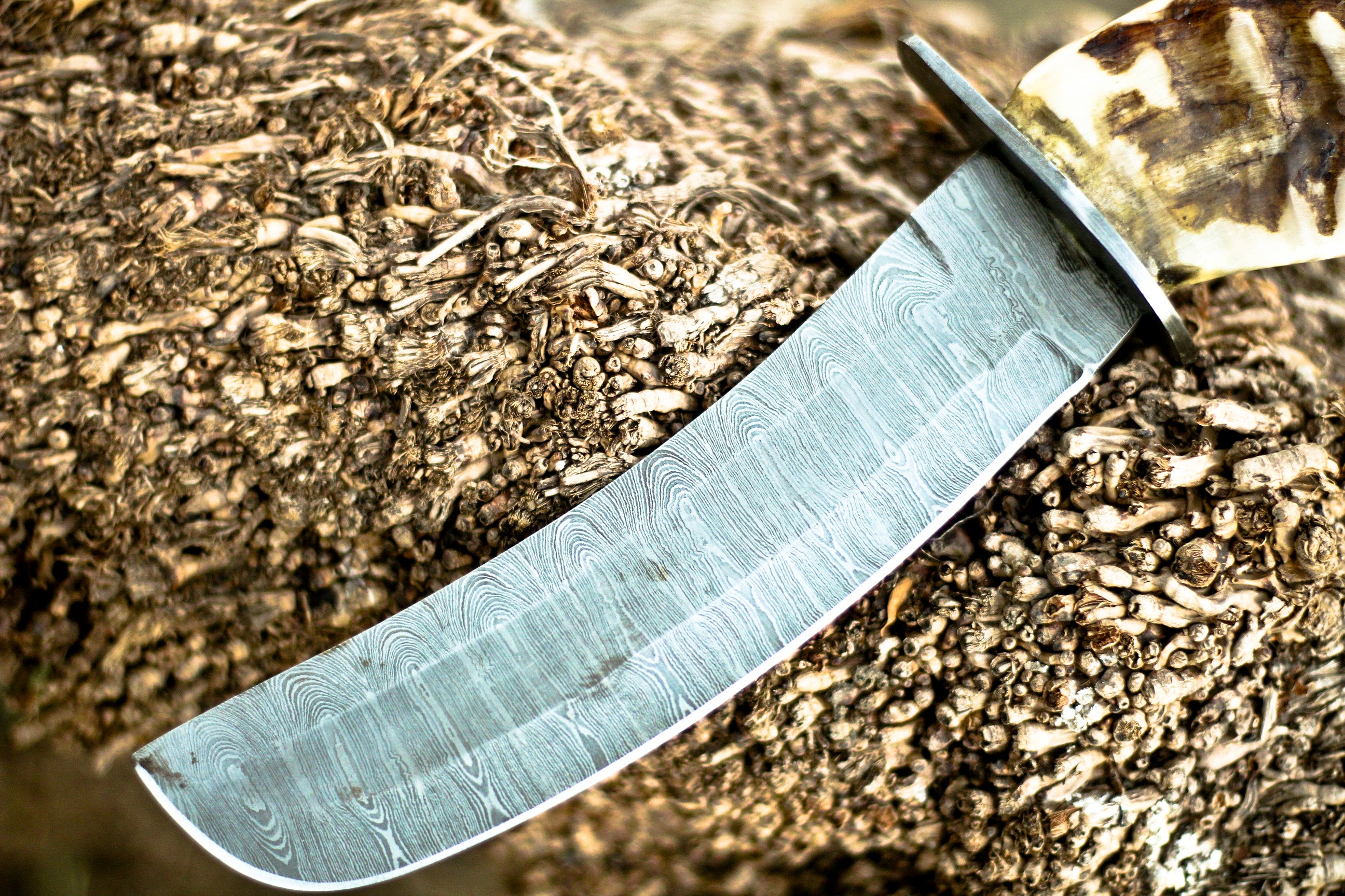 <h3>Hand Forged Damascus Steel Hunting Knife - Ram Horn Handle</h3>
